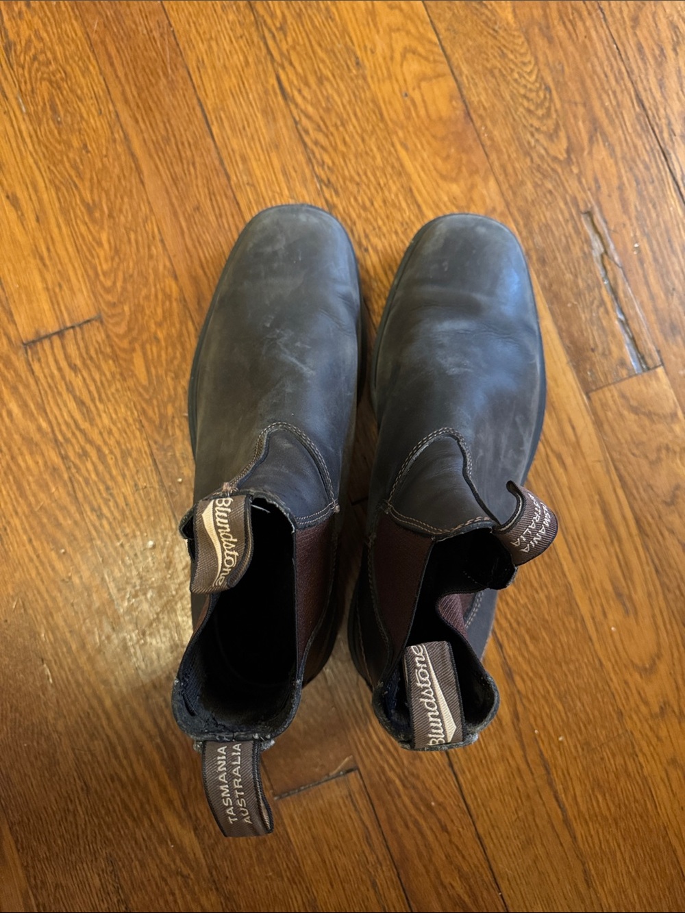 Blundstone Men's Chukka Boots - Dark Brown with Tan Pull Tabs